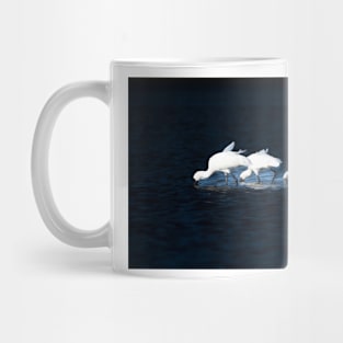 Three bright white Royal spoonbill birds heads down searching for food Mug